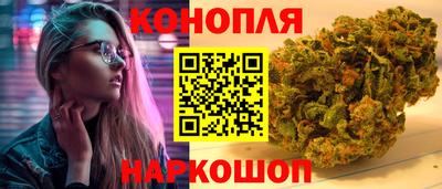 гашик Будённовск