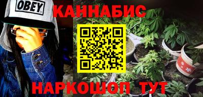гашик Будённовск