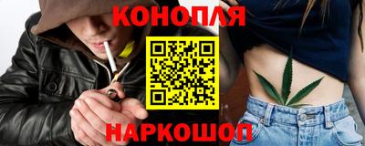 гашик Будённовск