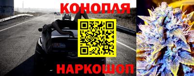 гашик Будённовск