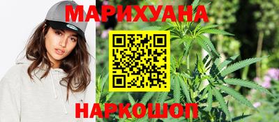 гашик Будённовск