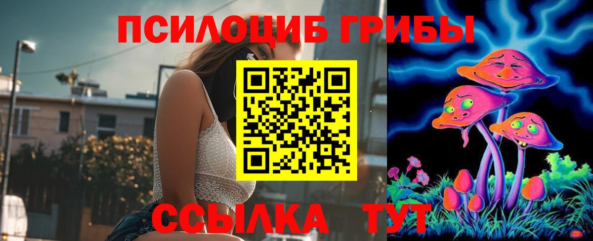 Галлюциногенные грибы Magic Shrooms  Вход с VPN  Псилоцибиновые грибы прущие грибы  Менделеевск 
